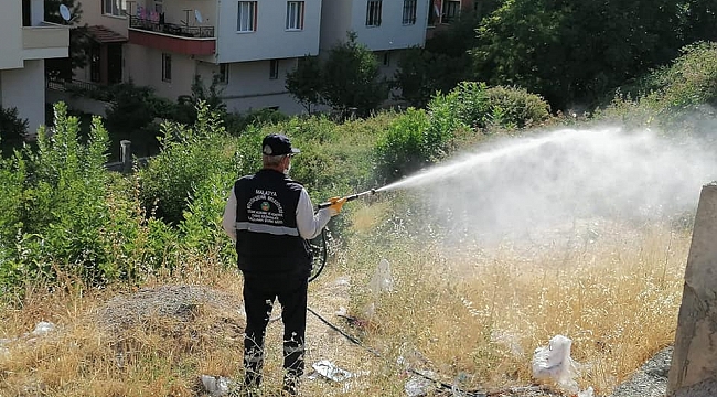 Haşereyle Mücadele Devam Ediyor